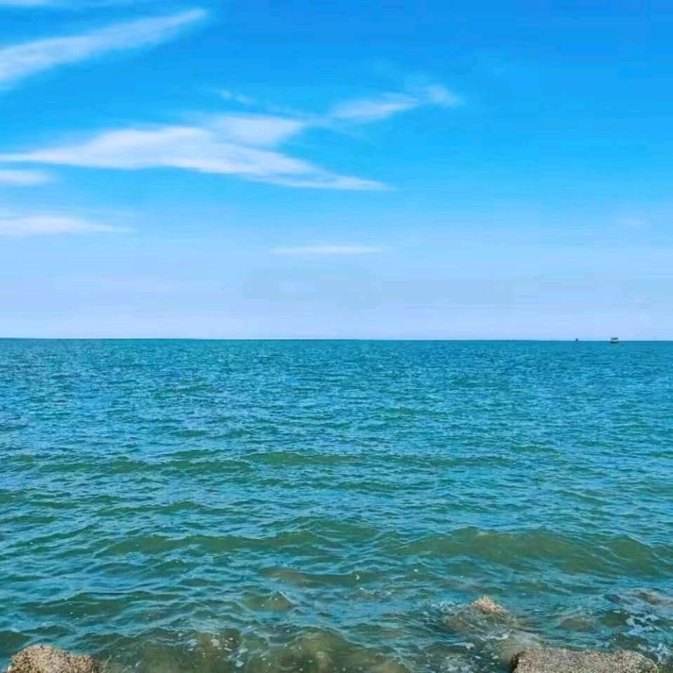 🐉海洋