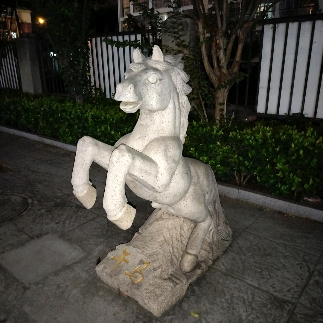 雪色红狼头像