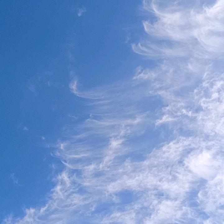 见