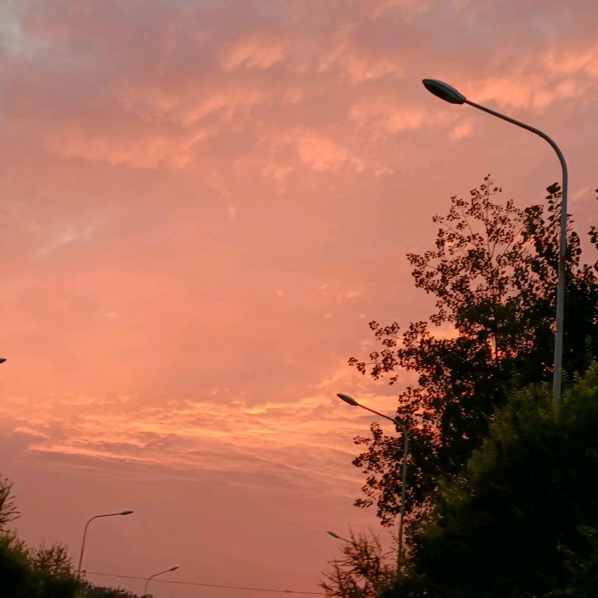 茶诺96338拒绝异性私聊