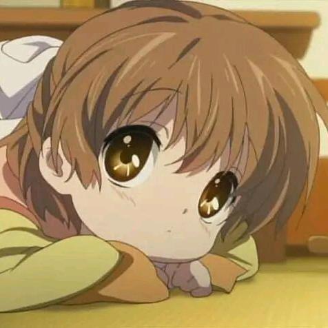 追风鸟ovo