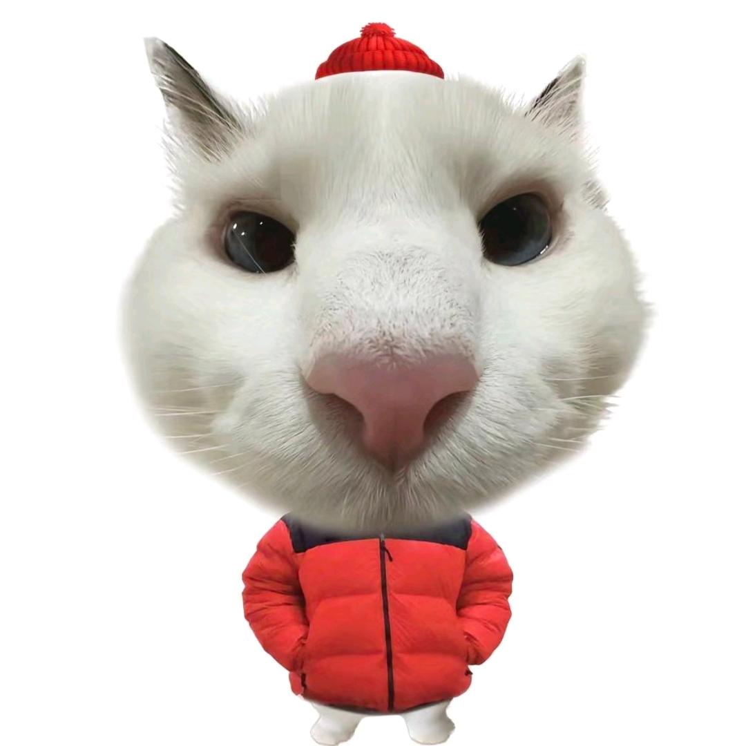 三七.