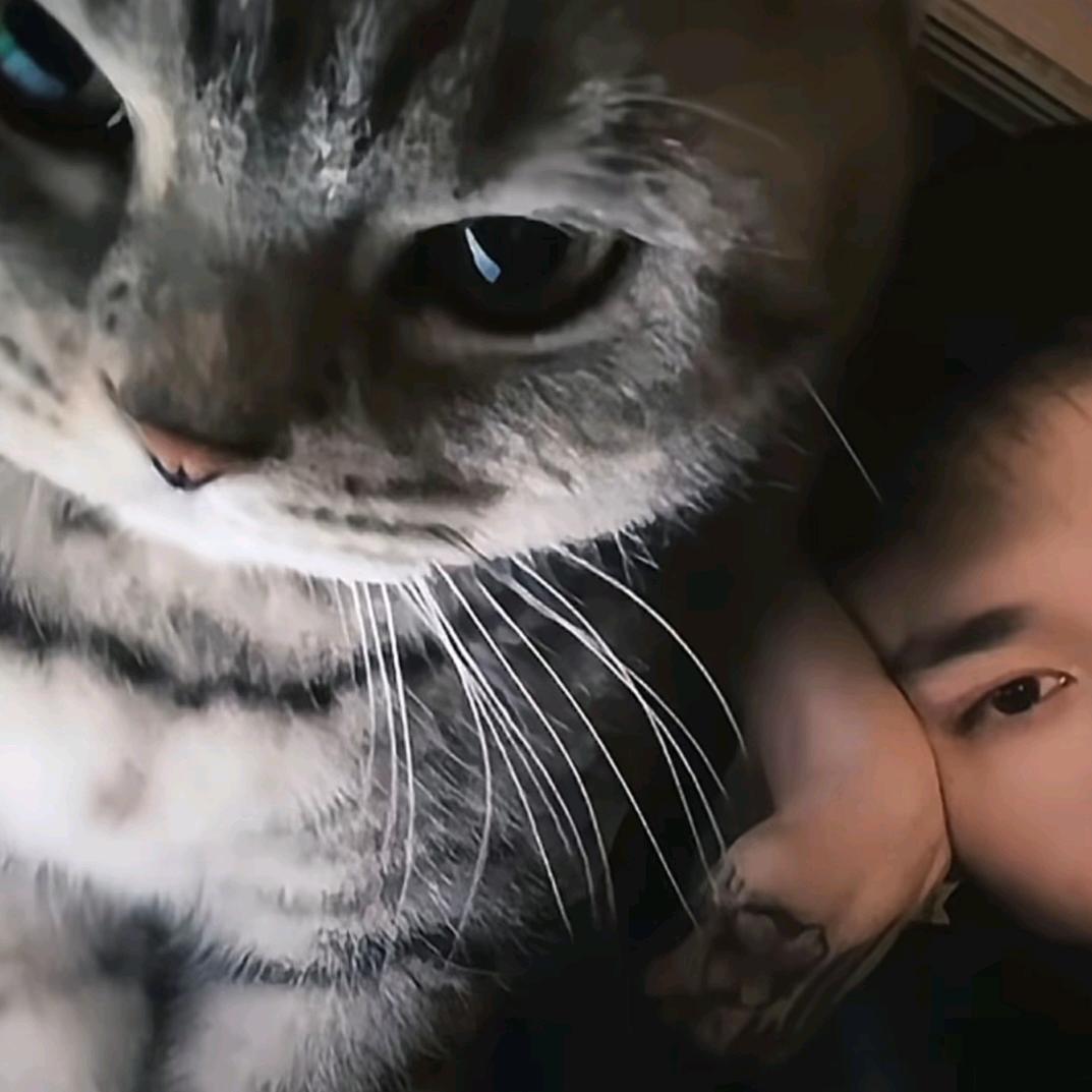 狐狸很狡猾