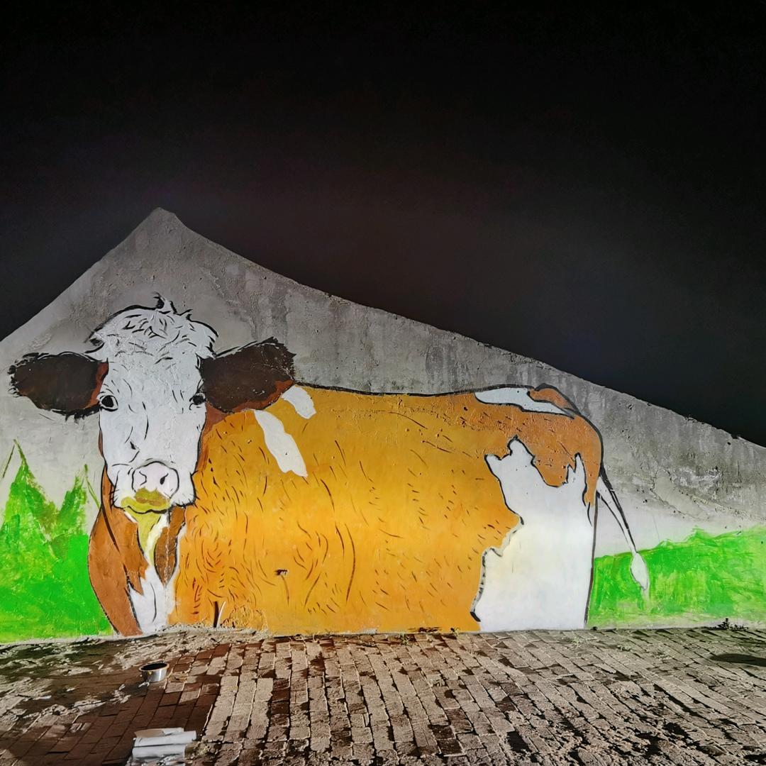 大肥牛-牛途行者