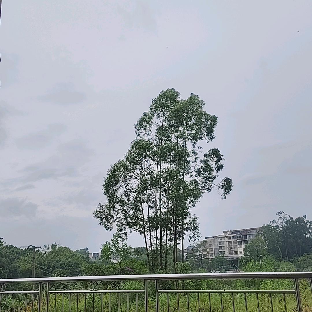 明山泉