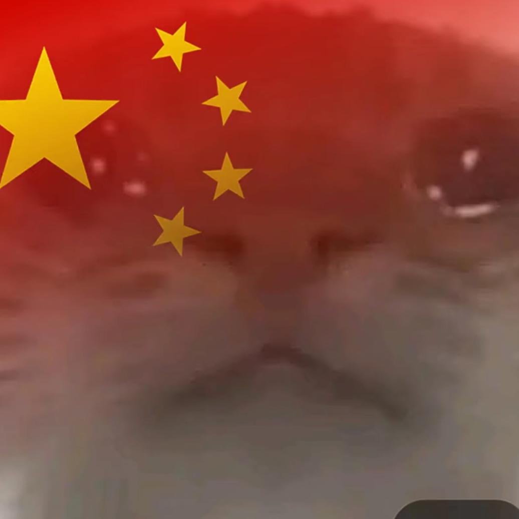 清落(三角洲行动)