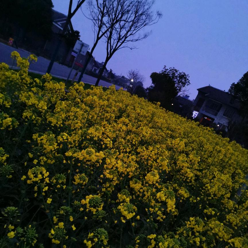 漂泊