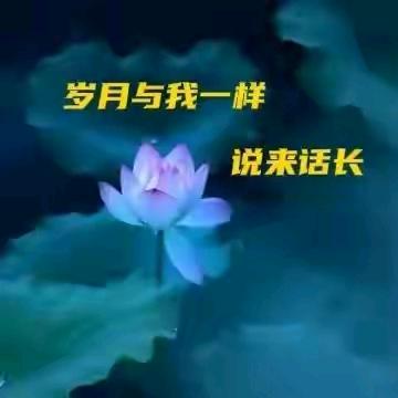 五月老山羊
