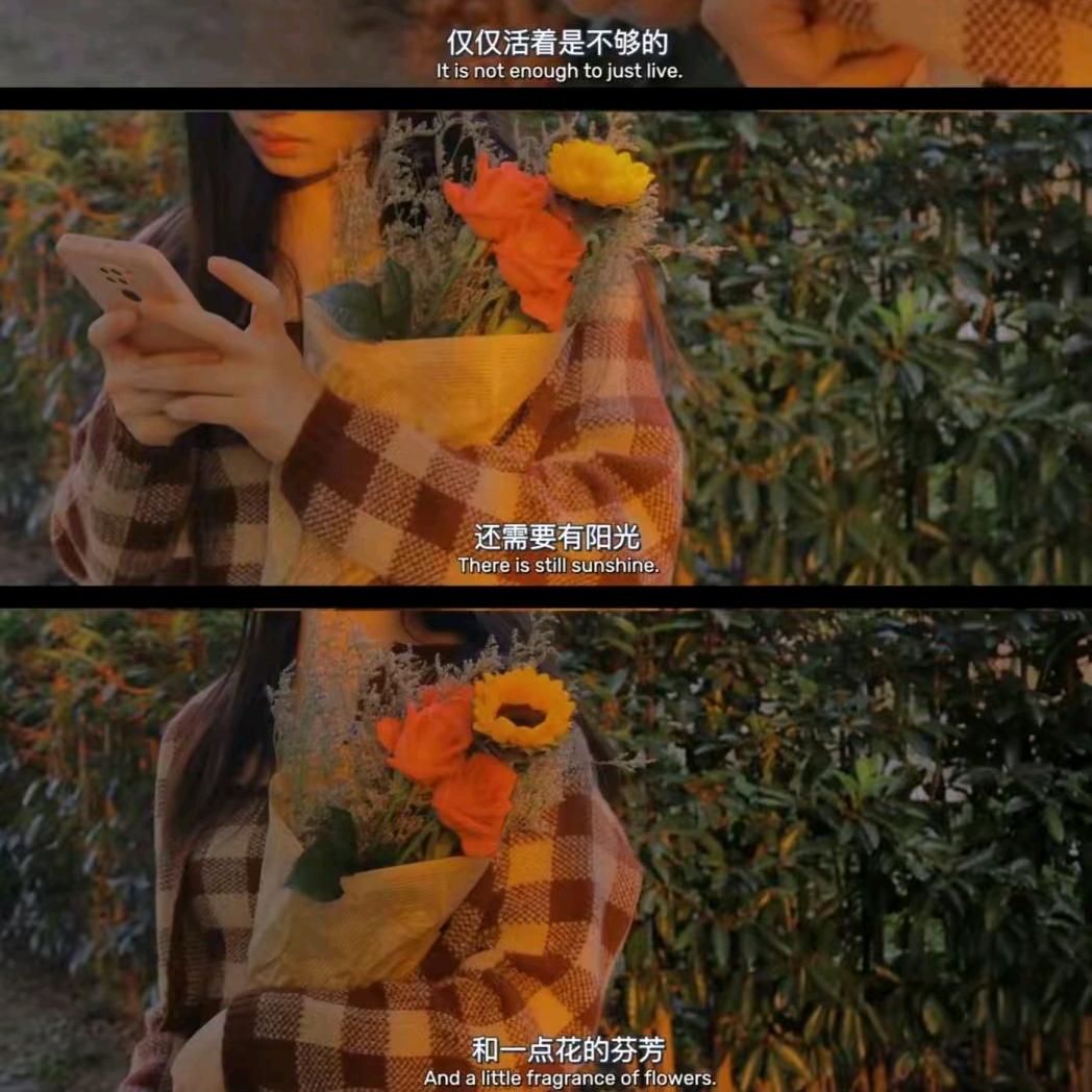 后来呢.🌻