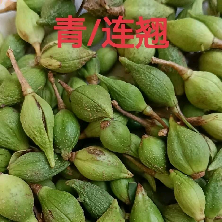 康国庆