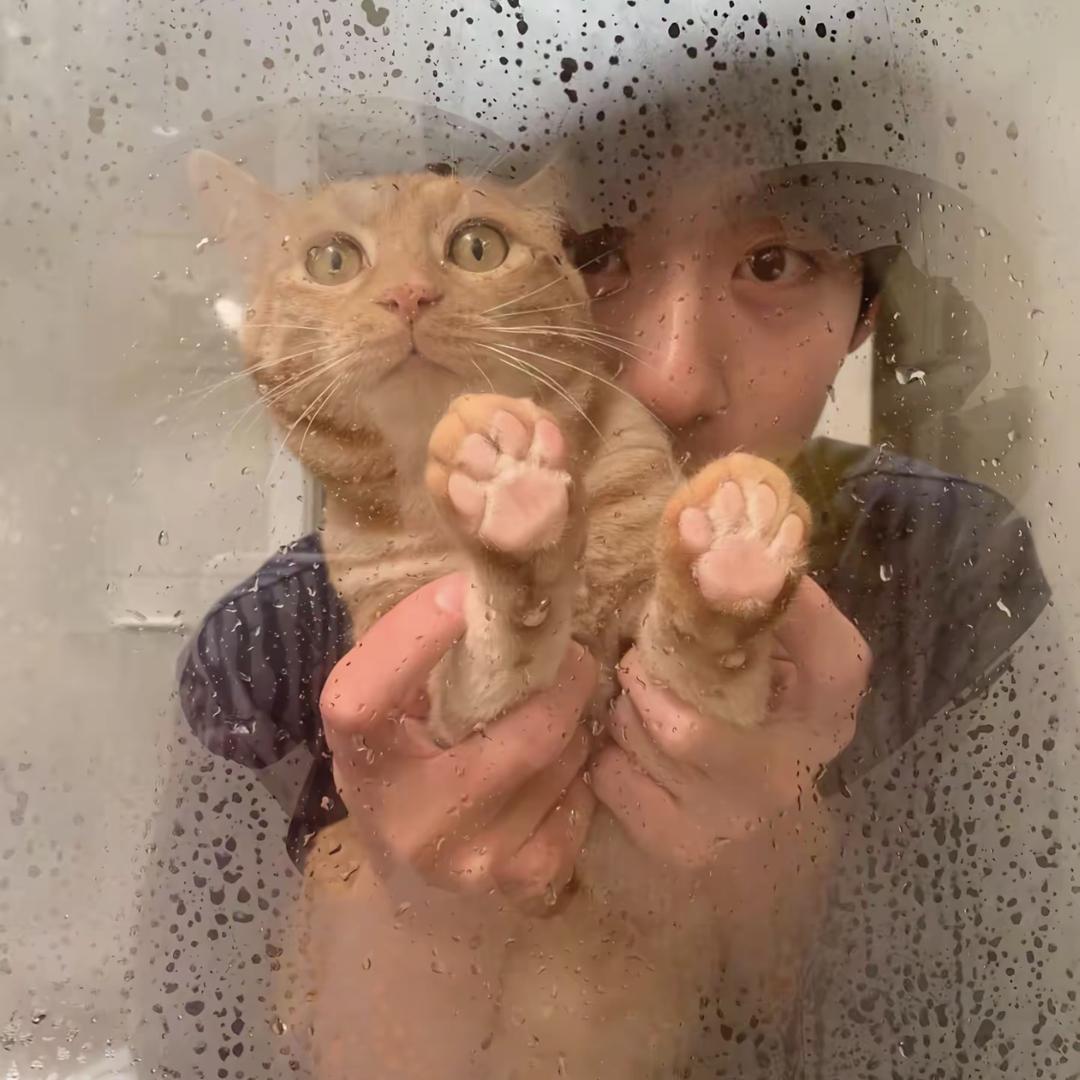cunese清