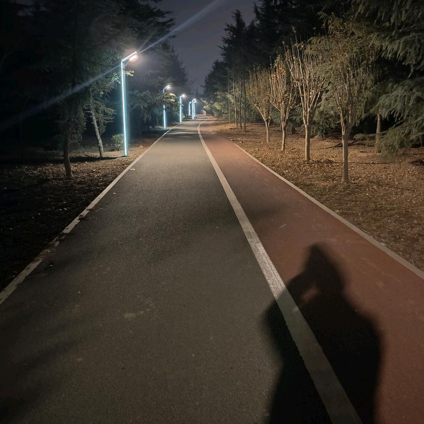 迎着朝阳奔跑