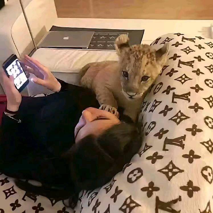 灰烬·