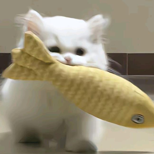 怪豆