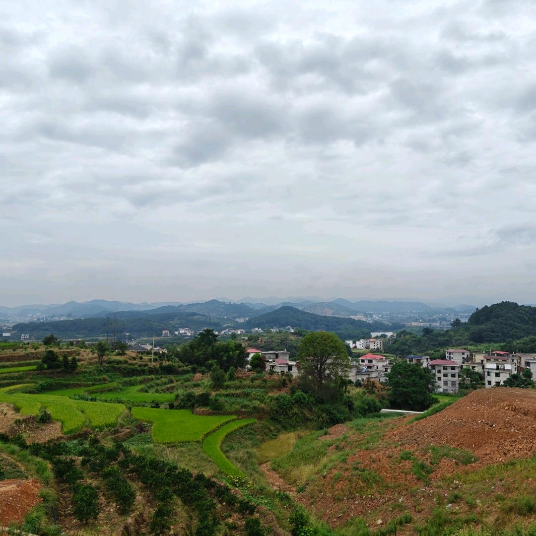 已审核