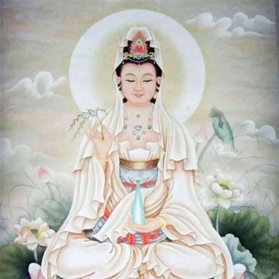 赖赖🧚‍♂️