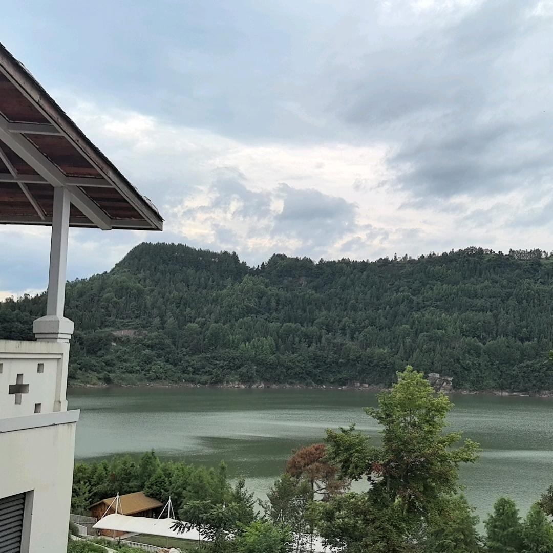 小杨同学