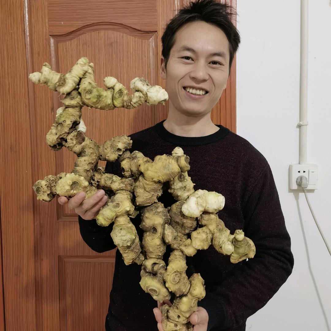 妙山人