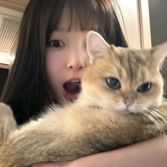 杨嬷嬷