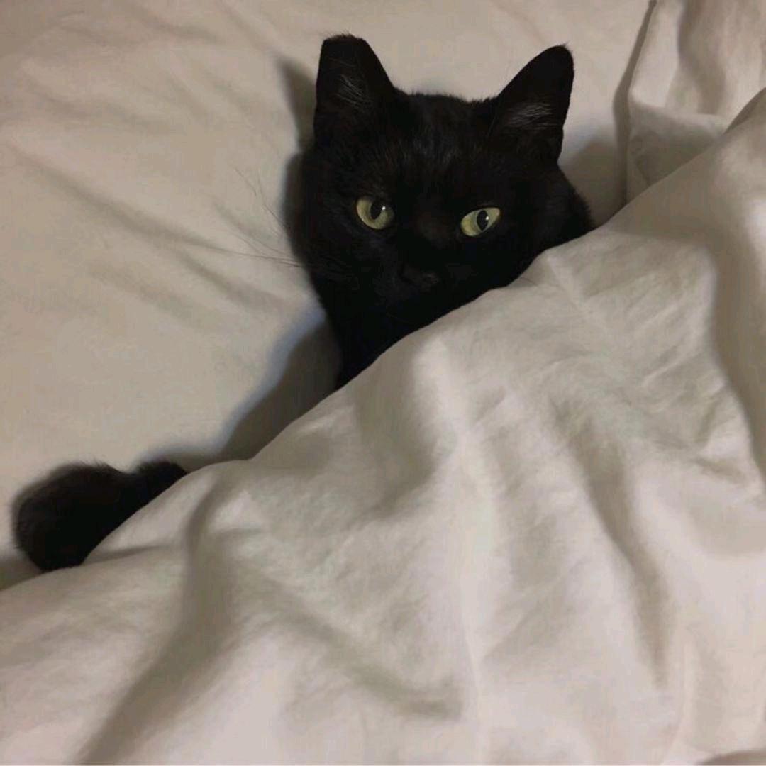 Amber.