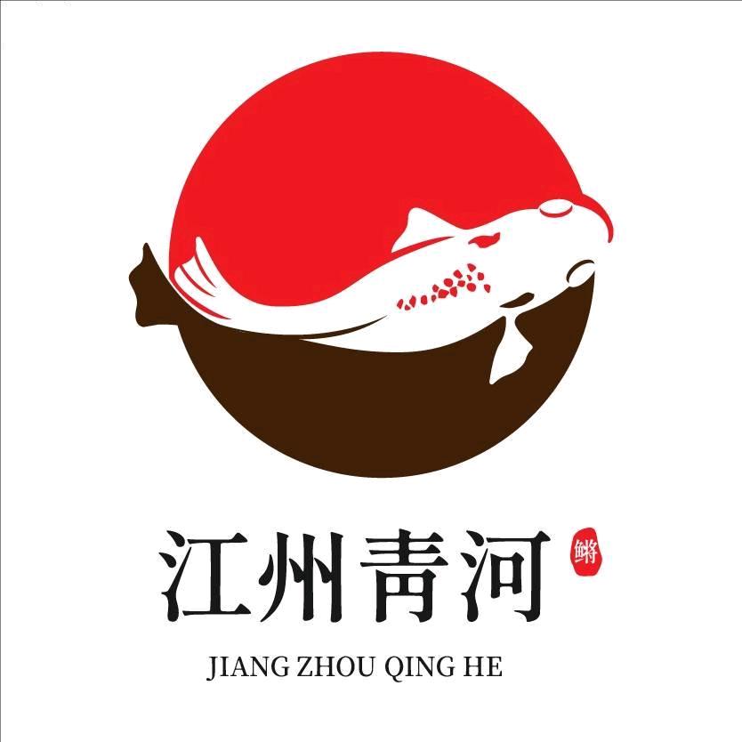 江州青河观背青鳉