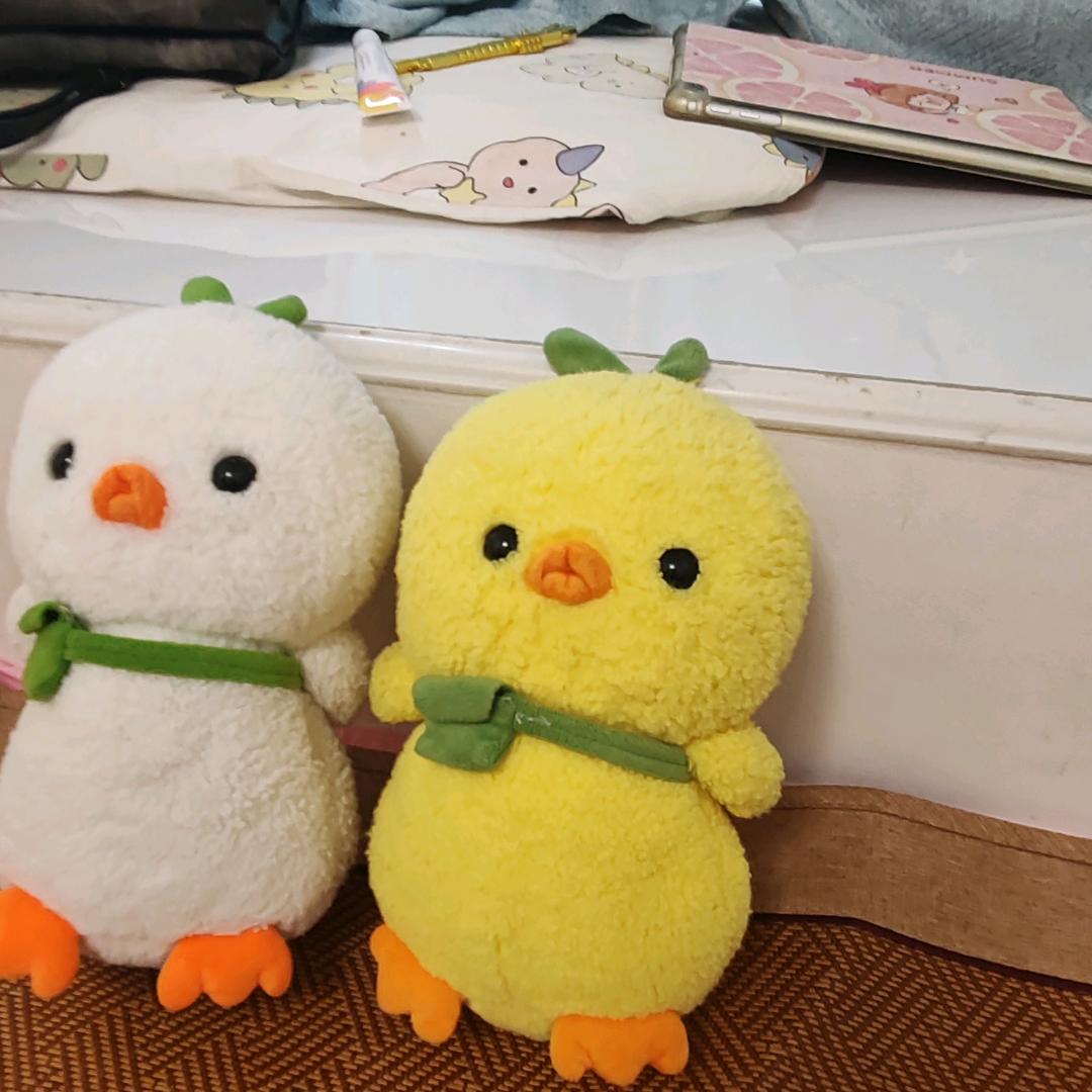 小小的世界大大的我