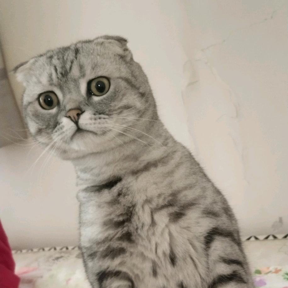 ————————————————————