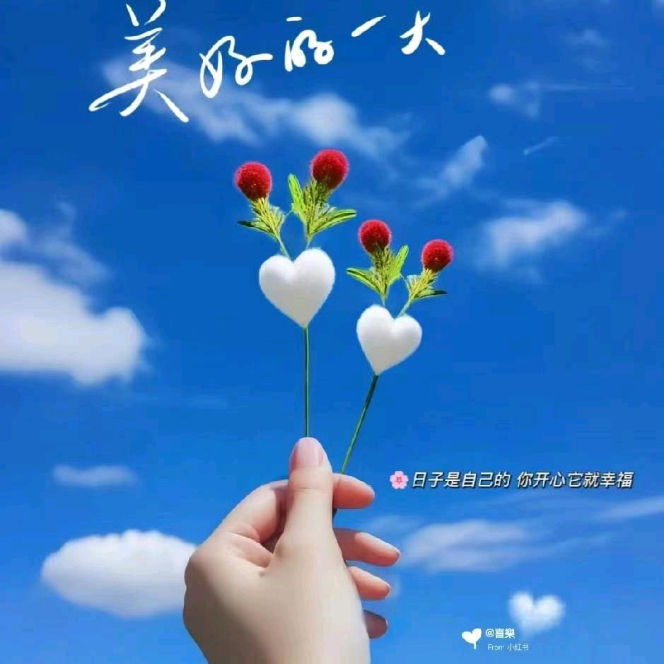 通讯录好友