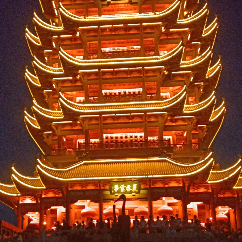 只要w阳光玫瑰葡萄种植园