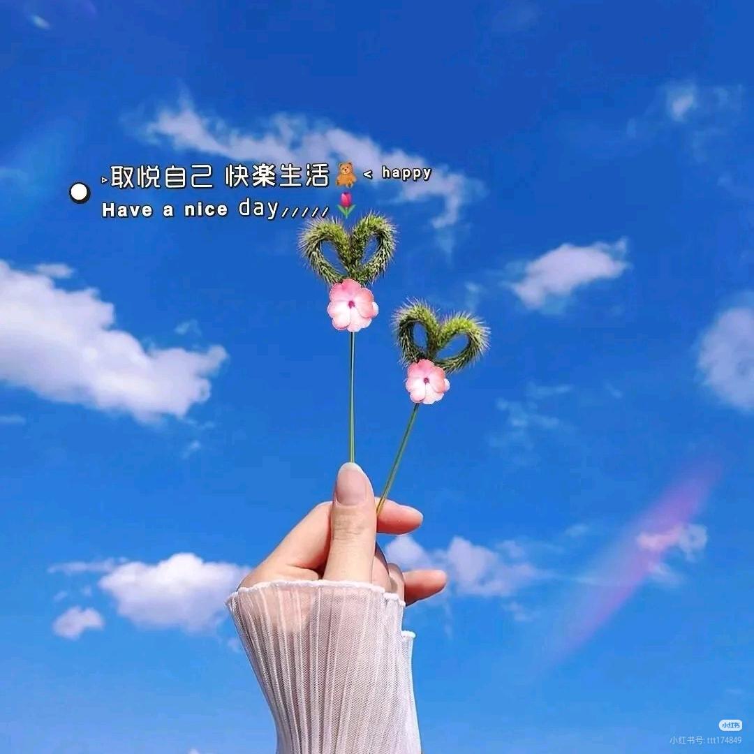 小白兔