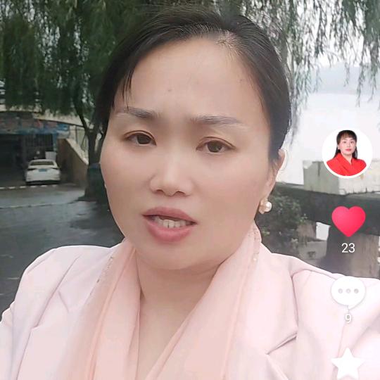 心缇
