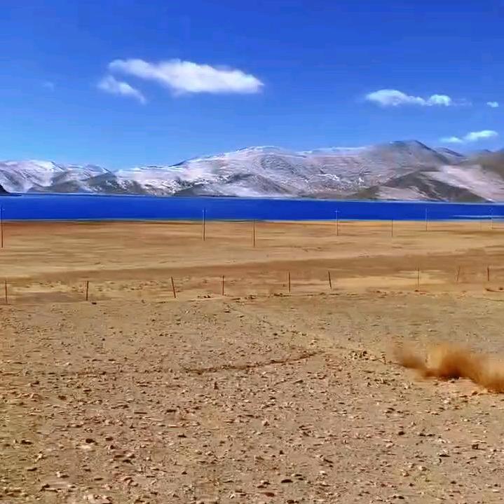 健走星韦国