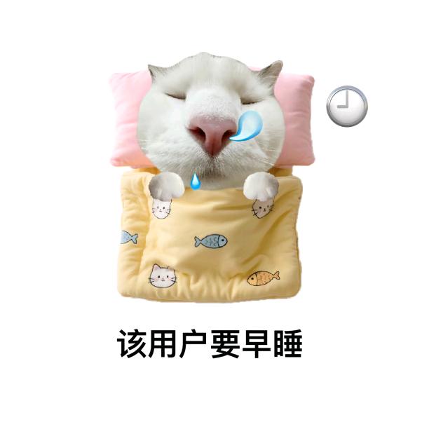 猫咪oao