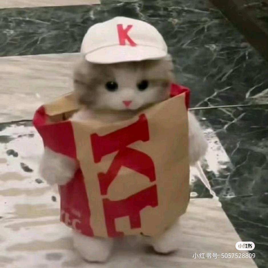 南鸢
