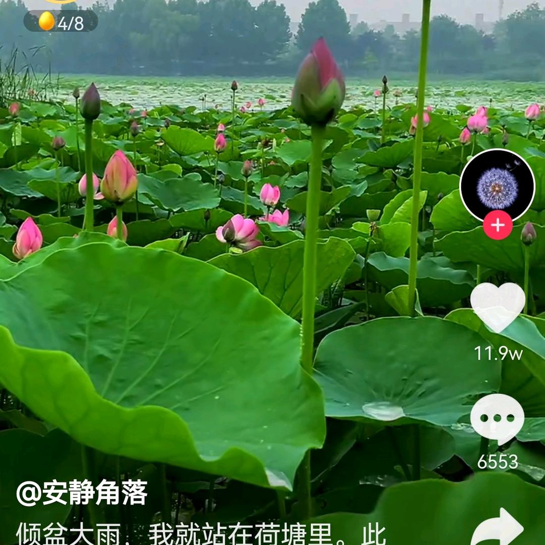 中秋之夜