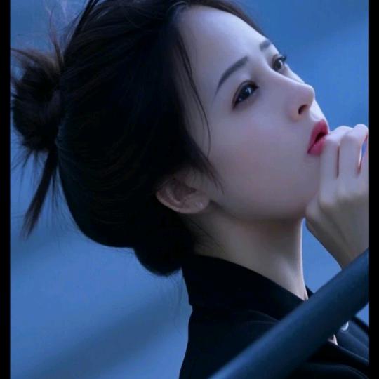杨总
