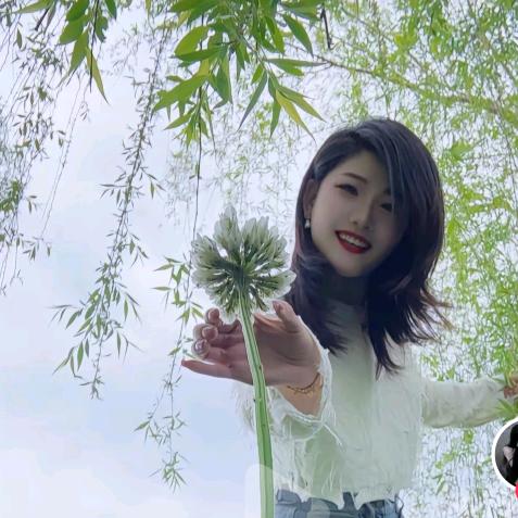 风清月明☀️☀️🌙🌙