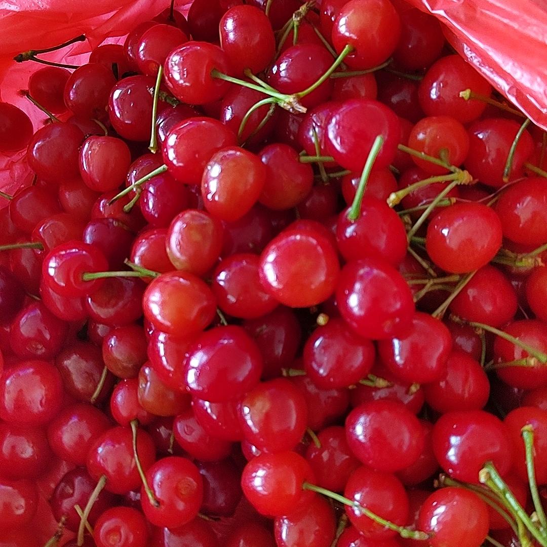 我像天空一样坚强