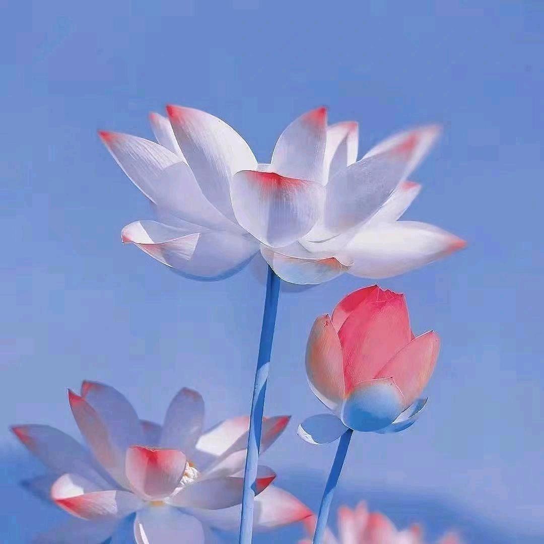 海阔天空，我在飞