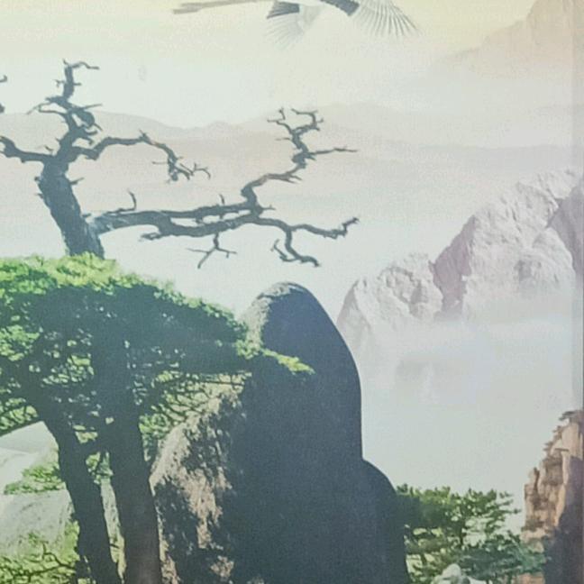 西北狼
