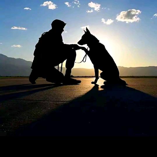 来与不来我等到你