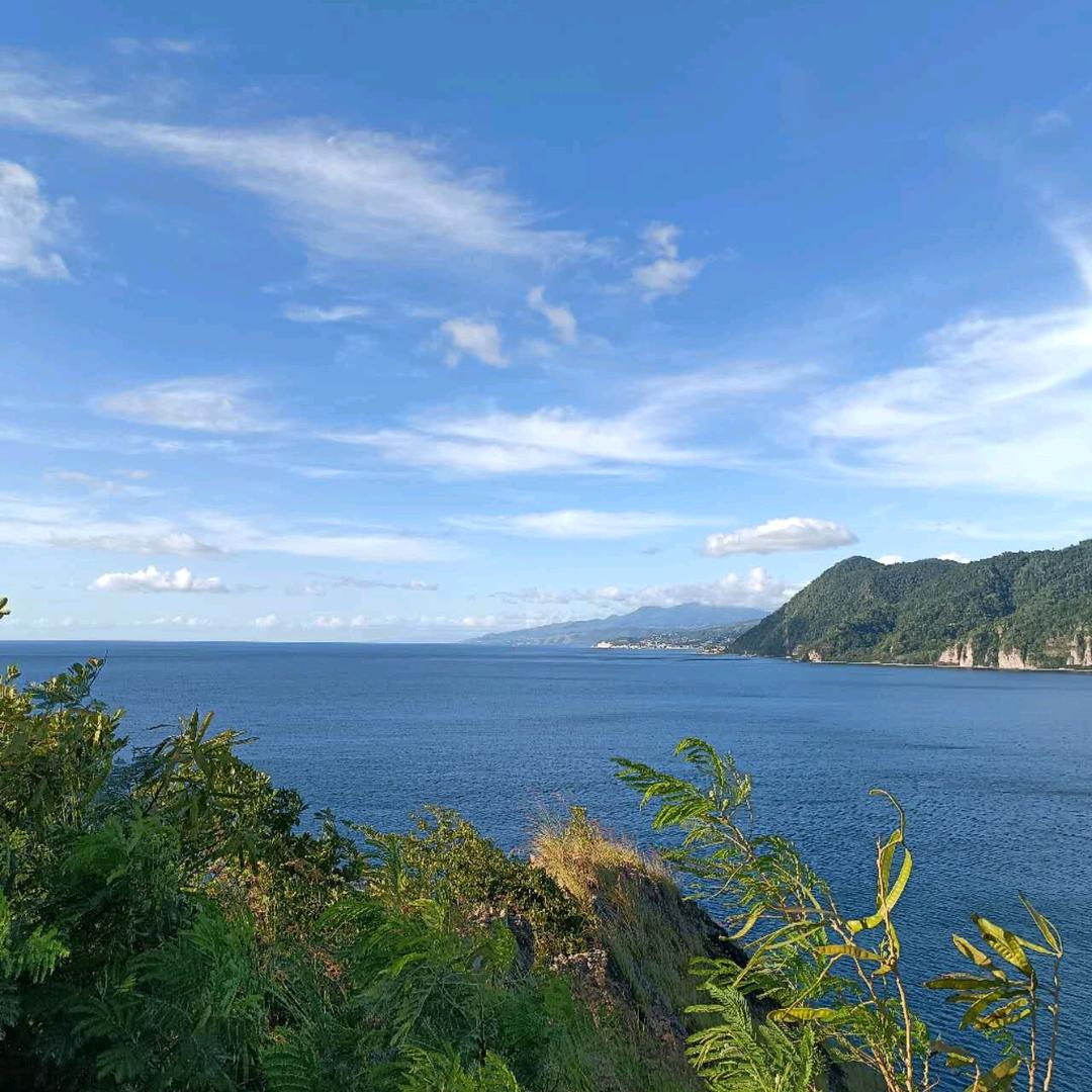 娄底大学生上门家教团队