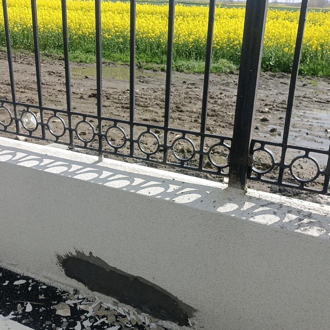 生活就这么美好