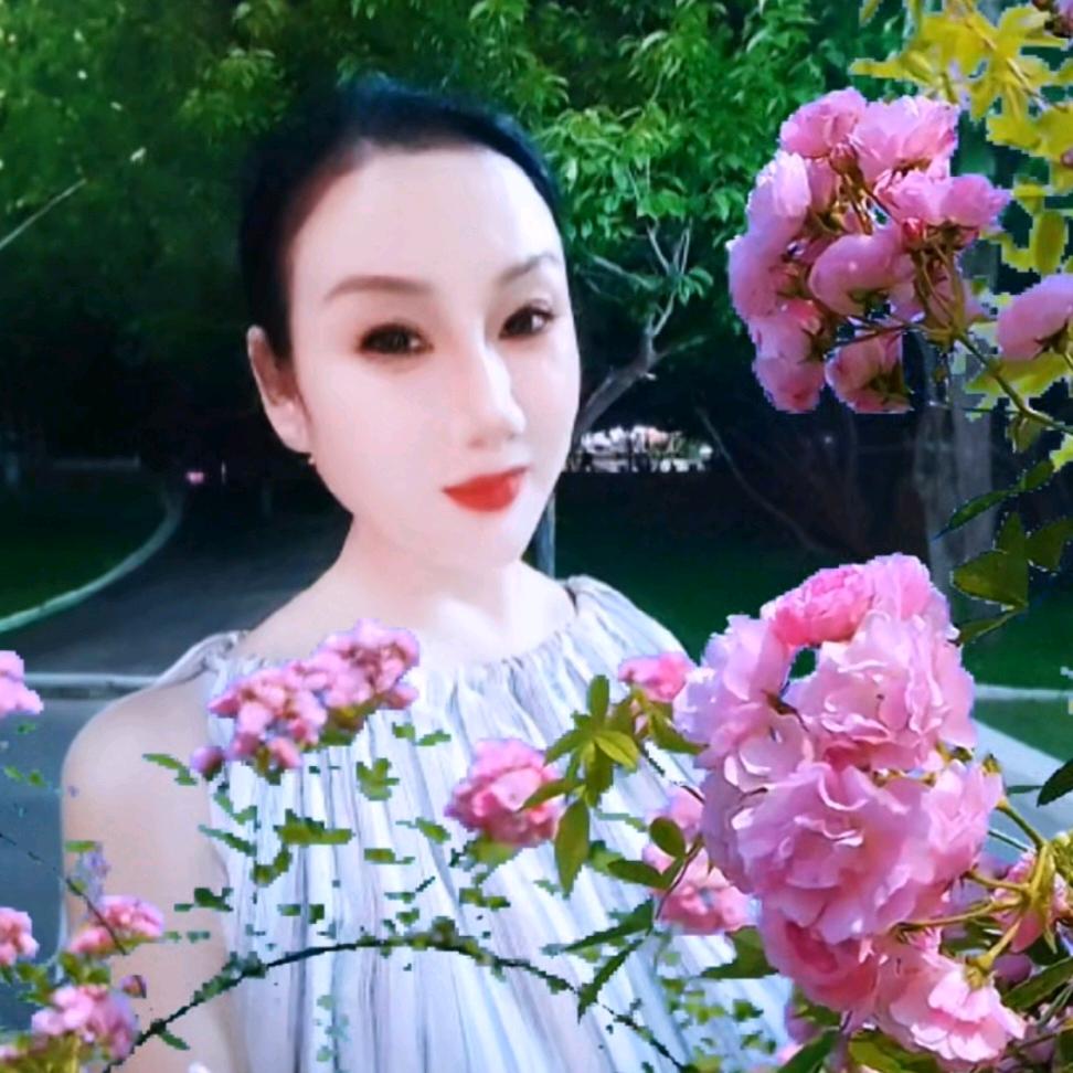 西安陈姐