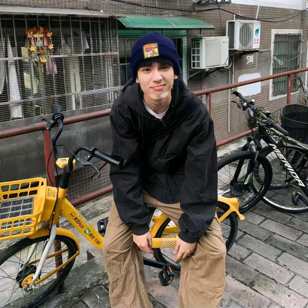装猫的盒子