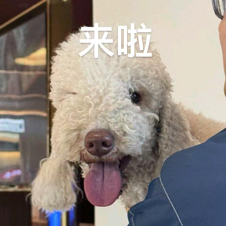 难怪你塞车_