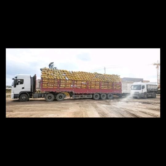 高原农家肥阿甲（牛羊粪）