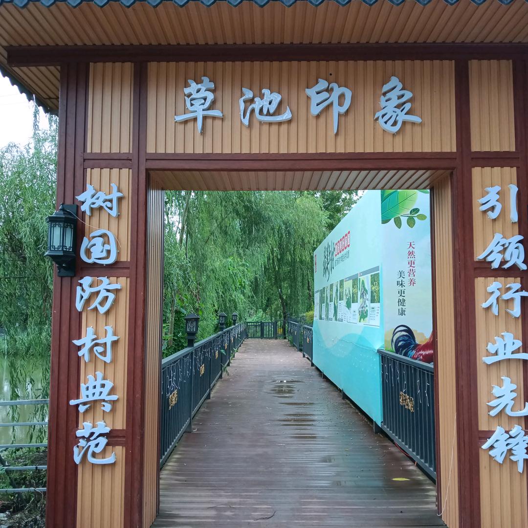 草池印象