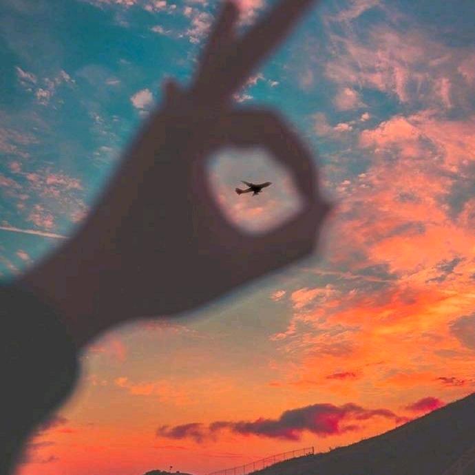 星星。