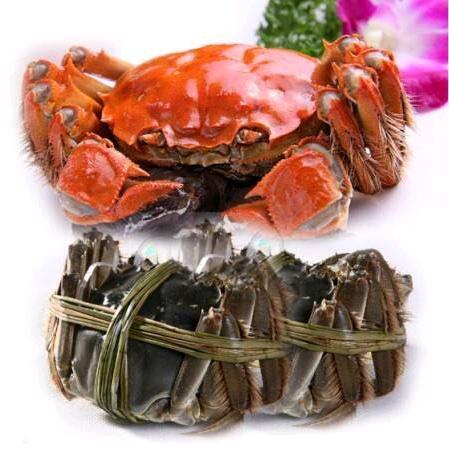 阳澄湖大闸蟹产地直销